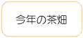 今年の茶畑