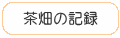 茶畑の記録